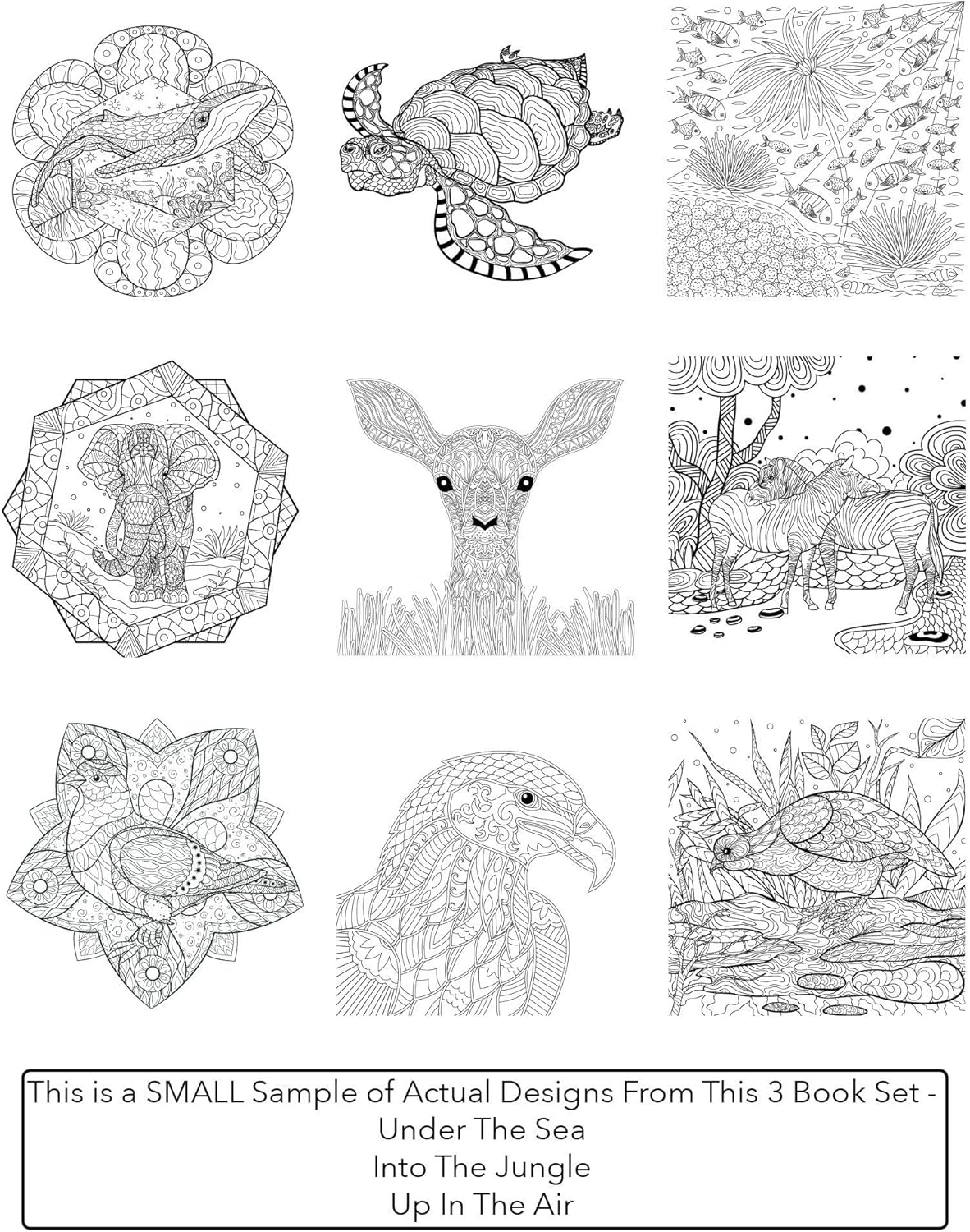 Adult Coloring Books Set.Three Books! Designs from The Sky, Land & Sea. Coloring Books for Adults Relaxation