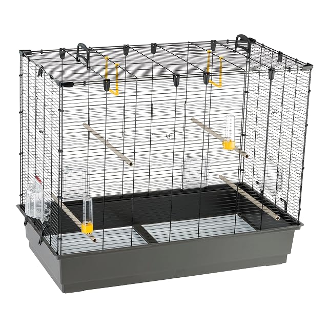 Foto 5 de 8 de Ferplast Amplia Jaula para Canarios, periquitos y pequeños pájaros exóticos Piano 6, con Accesorios