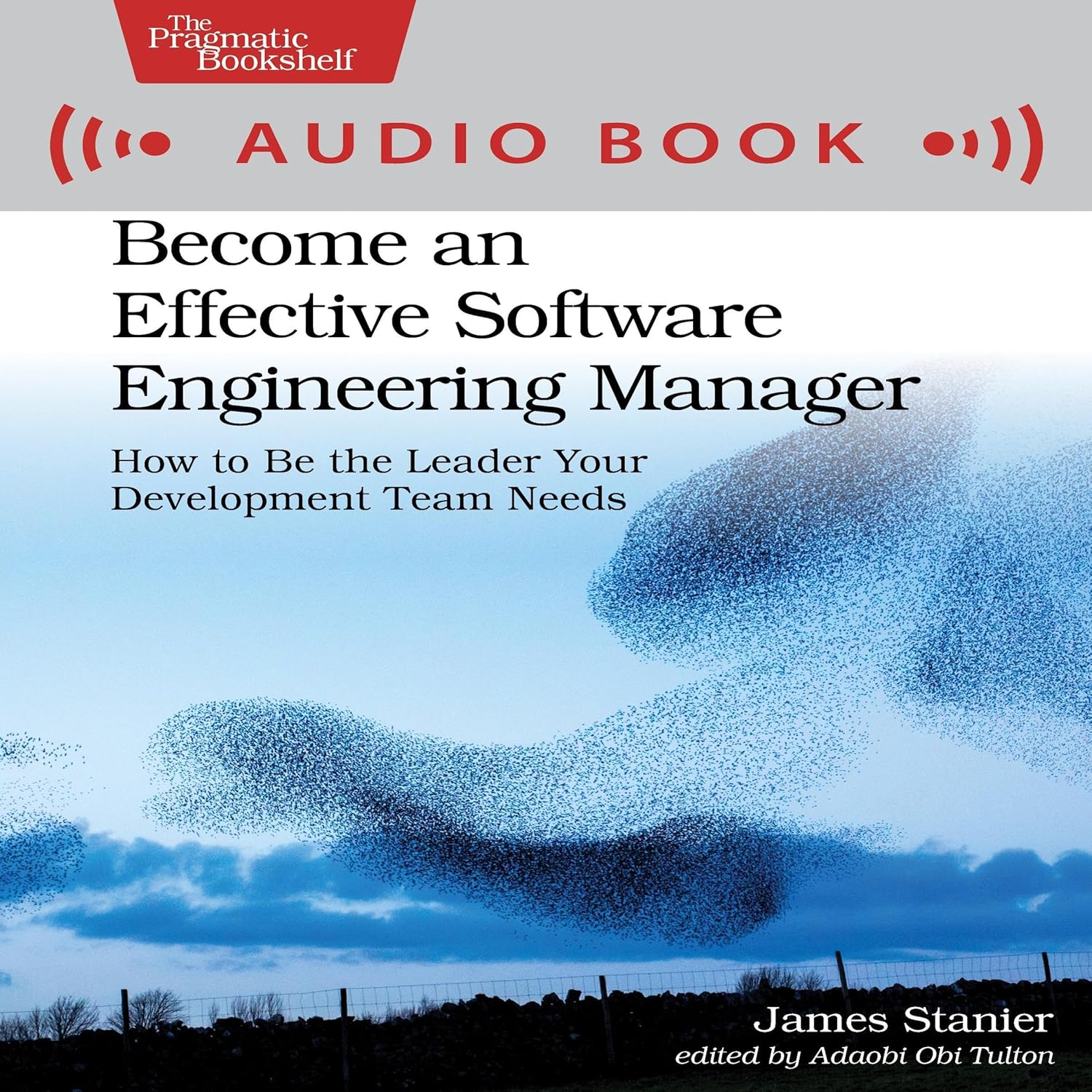 Become an Effective Software Engineering Manager: How to Be the Leader Your Development Team Needs    
	                
	            

                 
                        Audible Audiobook 
                  
                        – Unabridged