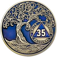 Vista 53 de Medallón AA de 5 años – Árbol de la Vida trenzado chapado en oro AA Chip de recuperación – morado