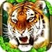 Tiger Simulator