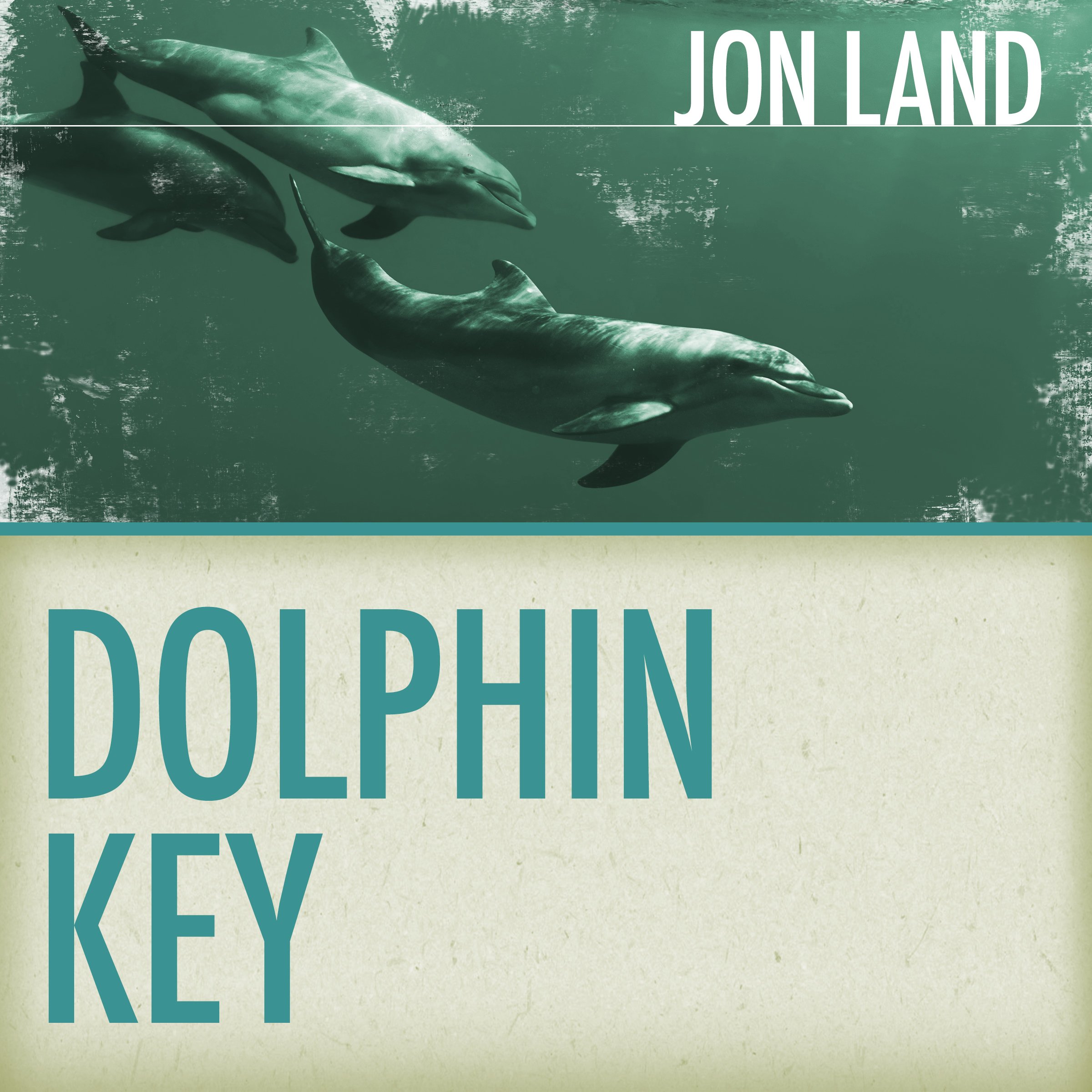 Cover art for Dolphin Key