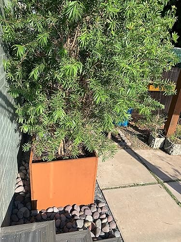 Miniatura 7 de Corten - Maceta de acero cuadrada de metal, maceta grande de acero, para exteriores, planta alta, duradera, antigüedad, separada para patio, terraza