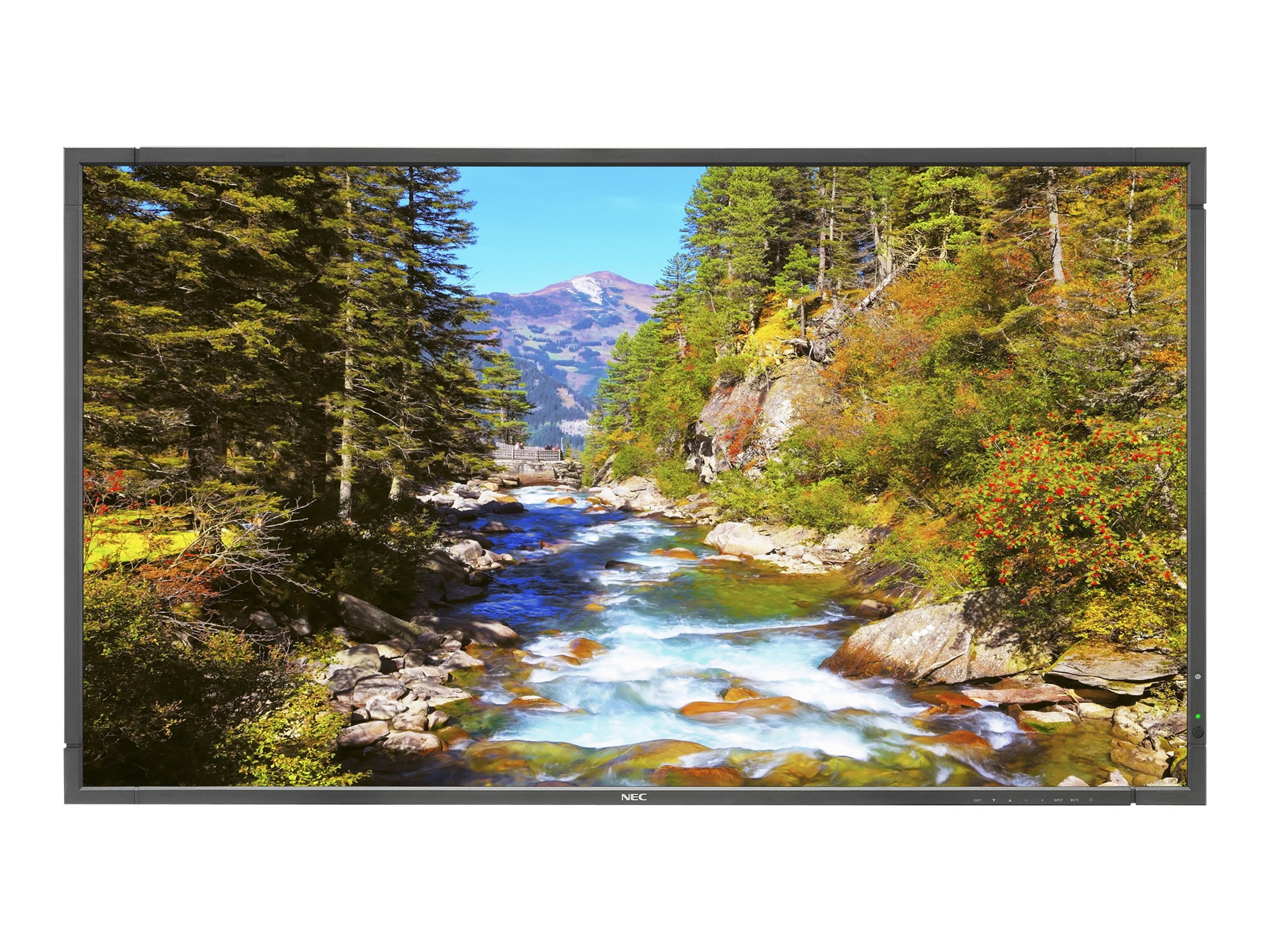 Amazon.com: NEC E705-AVT 70