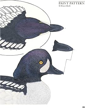 91TZm66wc3L._AC_UF350,