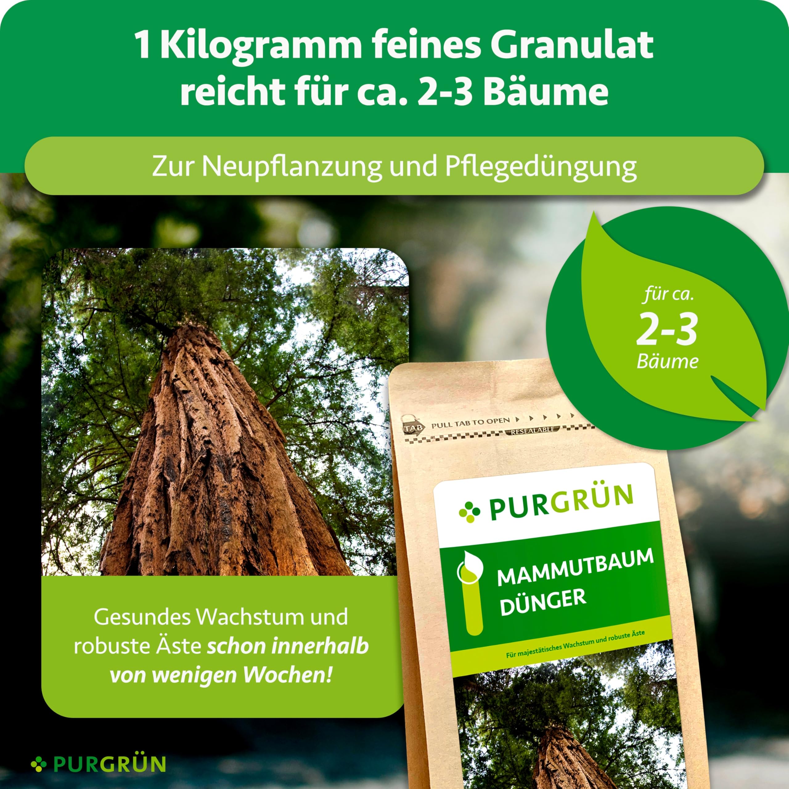 Mammutbaum-Dünger 1 kg – Extra Magnesium für schützt vor Nadelverfärbungen – Verbessert die Bodenqualität mit Tonmineralien – Feinkörniges Krümelgranulat für 3-4 Mammutbäume – chloridarm