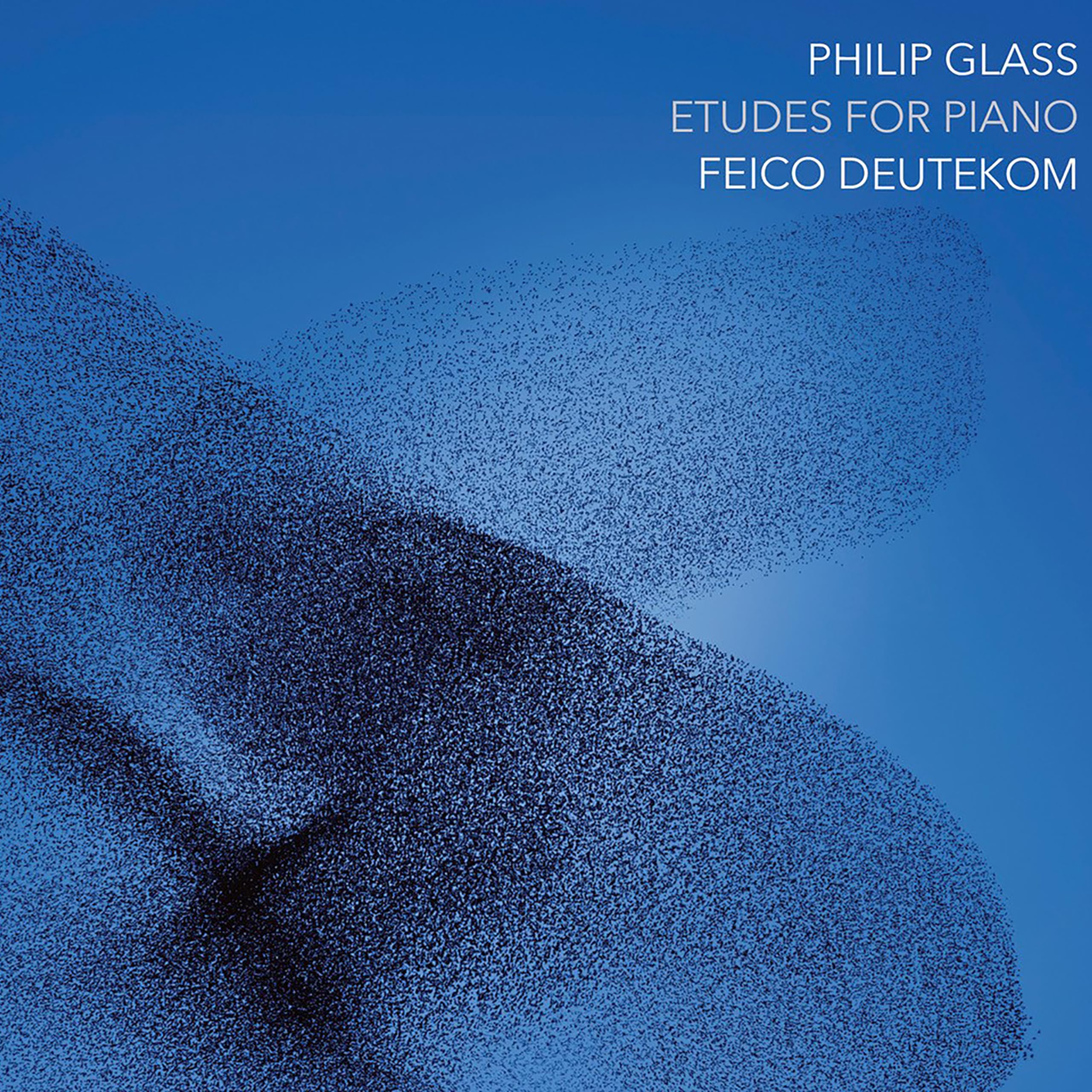 Philip Glass: Etudes for Piano