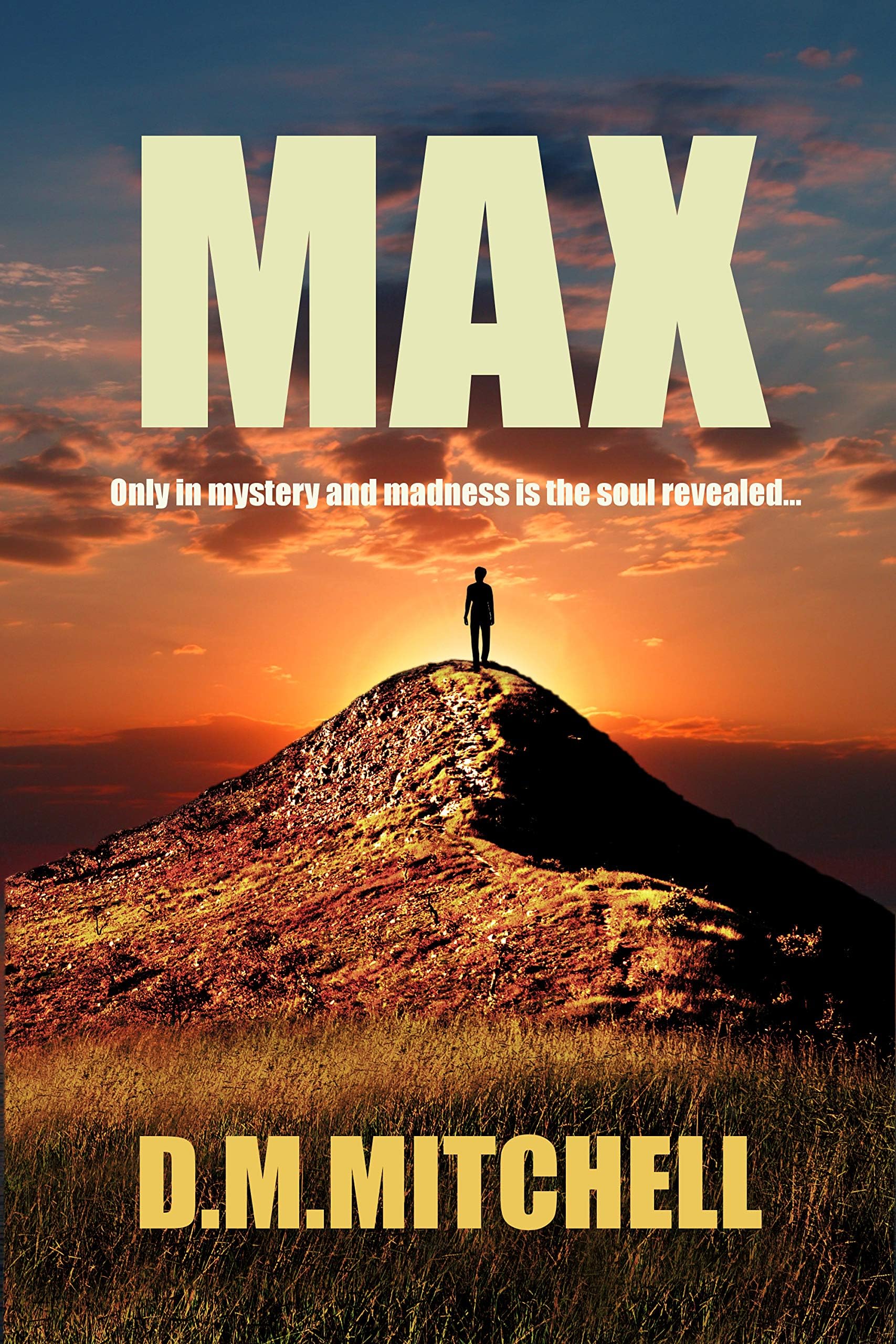 Max: a dark, psychological crime thriller full of mystery and suspense
