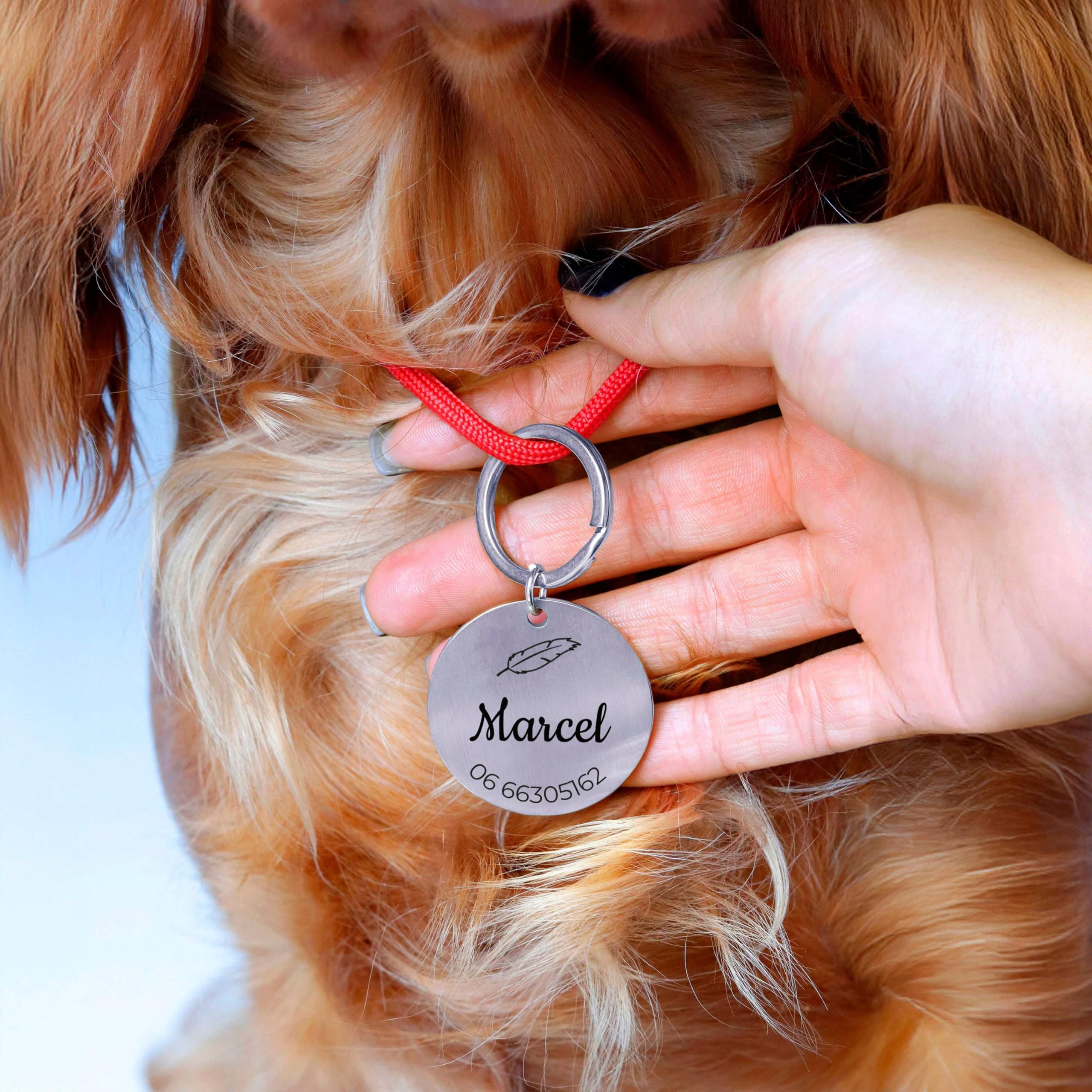 LAUBLUST Médaille pour chien personnalisée avec gravure pour collier - Tailles S, M, L | Cadeau personnalisé avec nom pour chiens et leurs maîtres - Accessoire pour chien | Boîte cadeau incl.