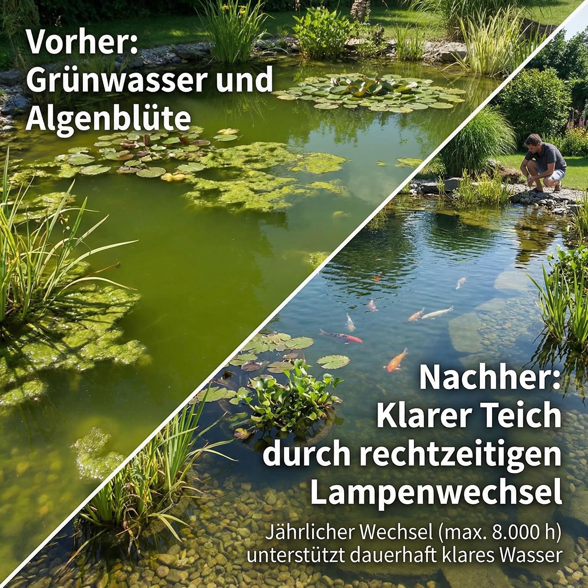 Pondlife 2x UVC PL Ersatzlampen 55W, Sockel 2G11, 525 mm, 2er-Set, hochreines Quarzglas (ca. 92% UV-C-Abgabe) für UVC-Teichklärer/Teichfilter, Ersatz-Leuchtmittel