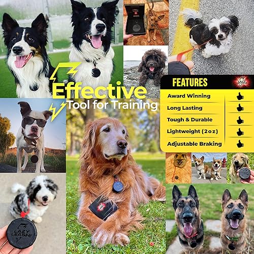 Miniatura 4 de Cool Dog 40" Correa portátil mini ajustable para senderismo, entrenamiento y aventura - Potente, ligera, retráctil con clip de llavero y agarre
