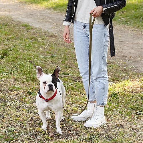 Miniatura 7 de Dogline Biothane - Correa impermeable para perro, resistente correa de nailon recubierta con herrajes negros, a prueba de olores para un fácil