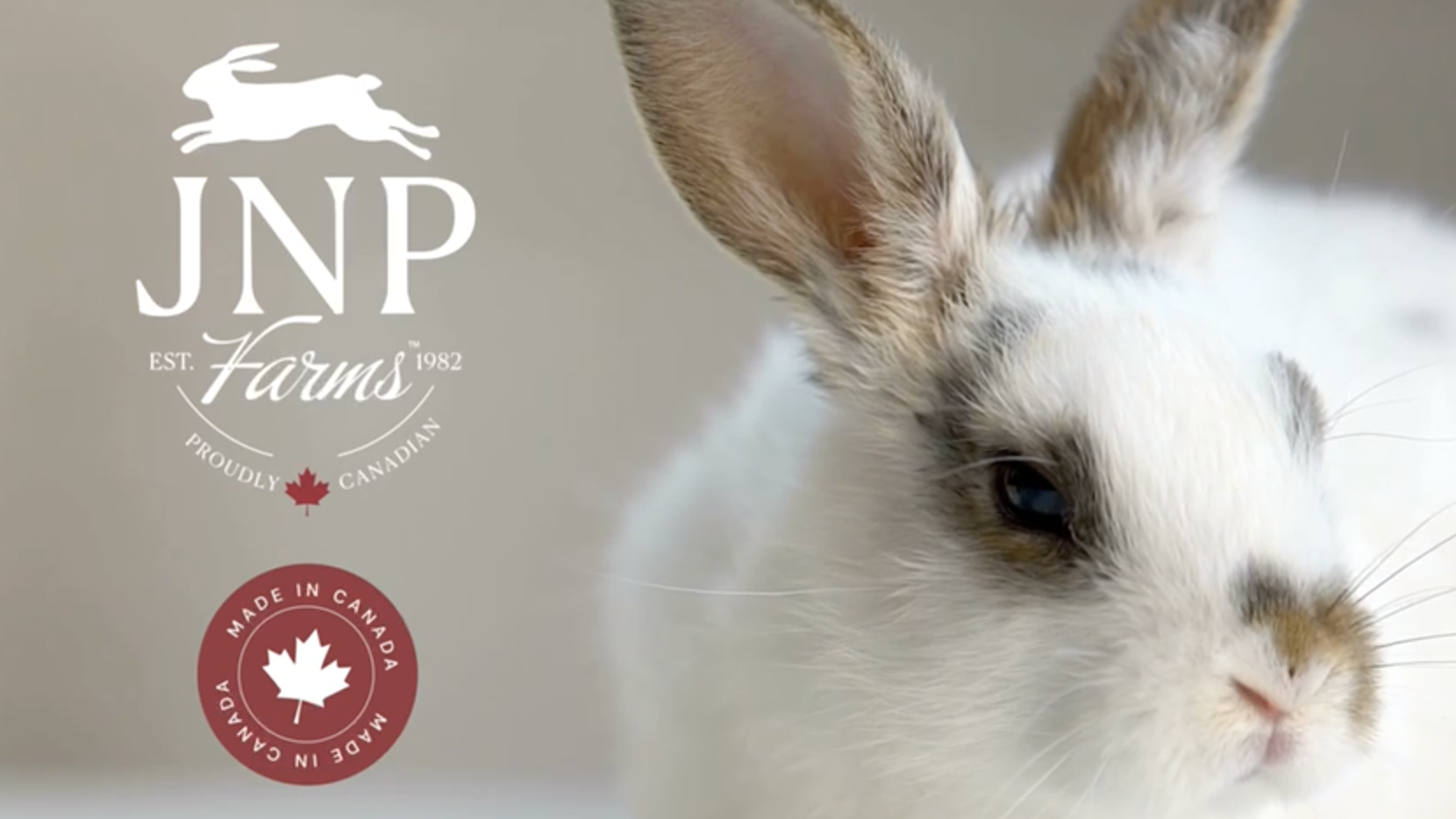 Sapi Jnp JNP Farms, Timothy Hay