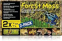 Vista 1 de Exo Terra Musgo de pluma forestal, 7 cuartos de galón, paquete de 2