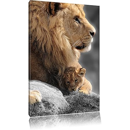 Lion Proteger Son Lionceau Noir Blanc Taille 80x60 Sur Toile Xxl Enormes Photos Completement Encadrees Avec