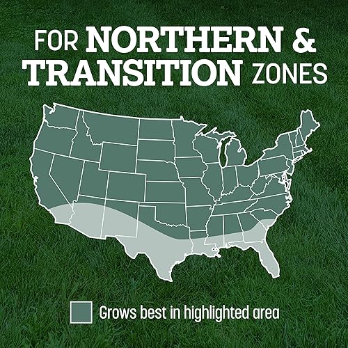 Miniatura 8 de Pennington Kentucky 31 Semilla de Césped Festuca Alta Penkoted 7 lb