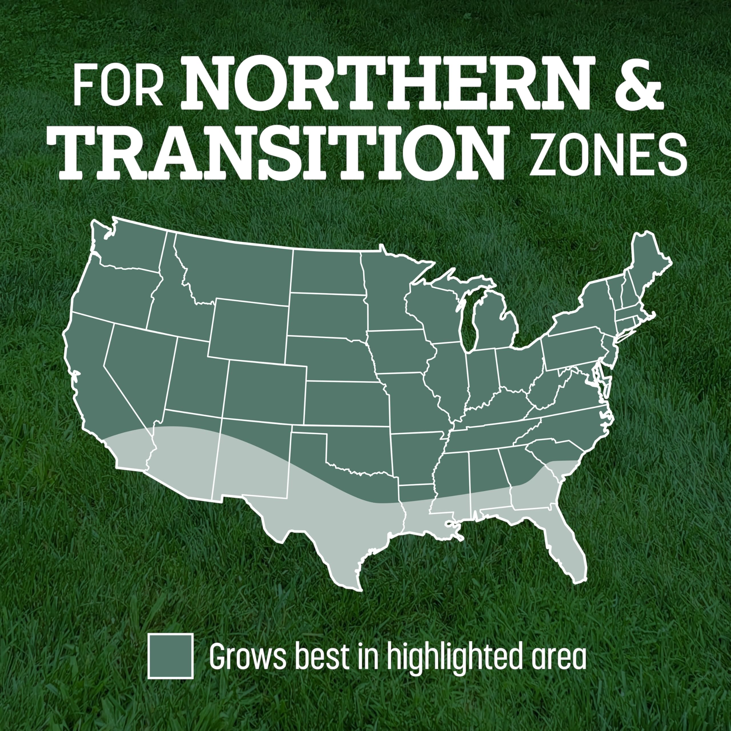 Pennington Kentucky 31 Tall Fescue Penkoted Grass Seed 7 lb