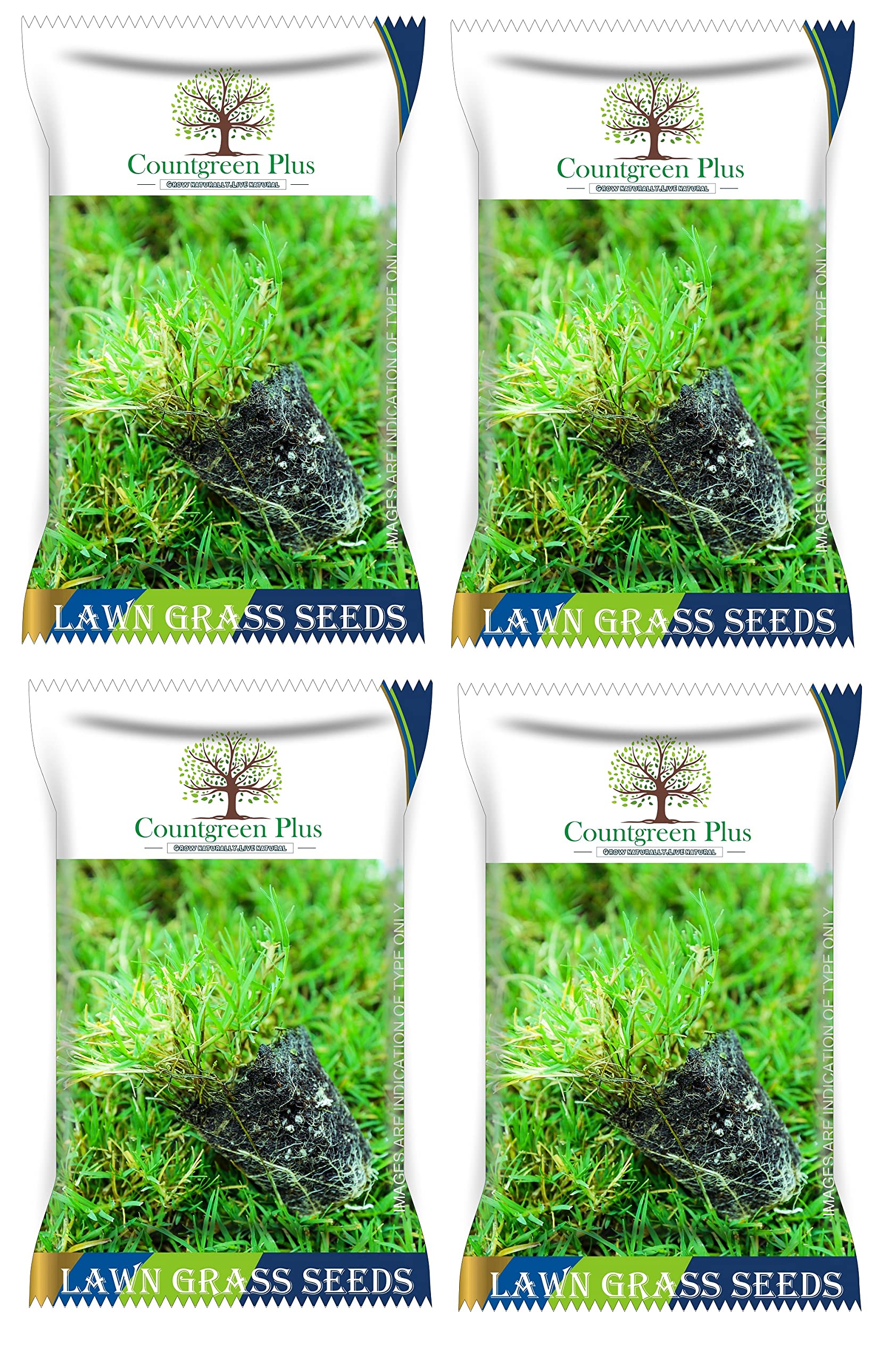 Countgreen Plus Organic Bermuda Grass Seeds for Lush Gardens, Vibrant Lawns, and Durable Sports Grounds – 4 Pack Combo (500 Seeds per Pack) (B0BZLDF1X9) Amazon Price History, Amazon Price Tracker