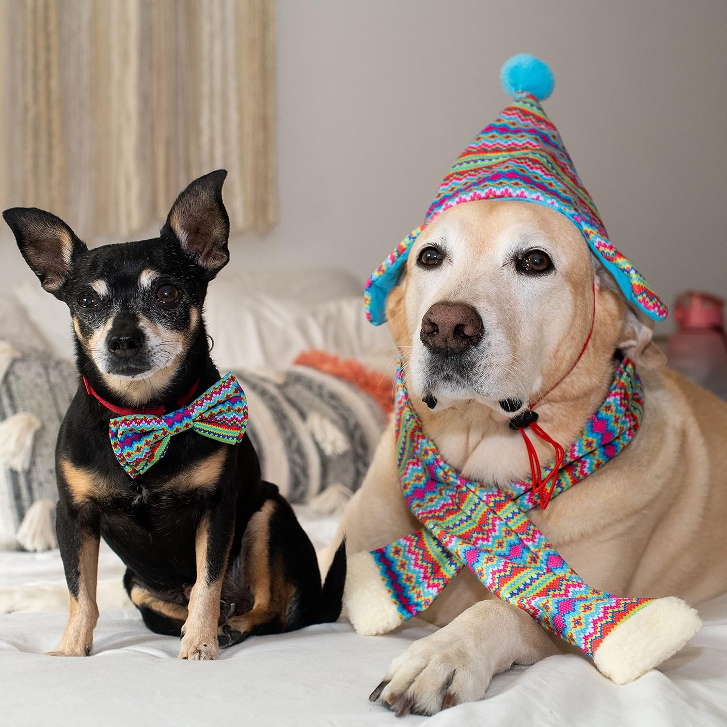 Huxley & Kent Holiday Dog Bundle | Large | Fairisle Hat and Scarf | SnugFit Strings for Best Fit | Christmas Holiday Scarf for Dogs and Cats : Pet Supplies