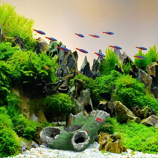 Foto 2 de 6 de Relaxdays Decoración Acuario, Forma de Tronco, Figura Pecera, Cueva para Peces y Gambas, 6,5 x 15 x 10 cm