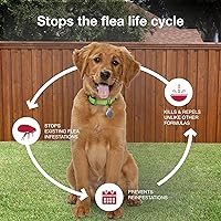 Vista 7 de Tratamiento Bayer K9 Advantix II para el control de pulgas y garrapatas para perros, Verde azulado