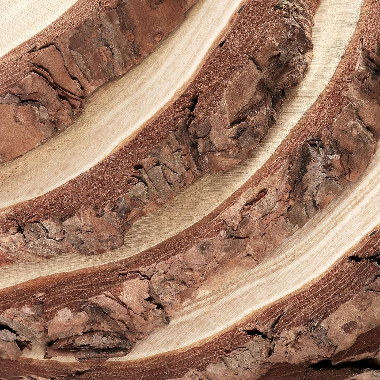 PINGEUI 6 Piece 9-10 Inch Natural Wood Slices, Unfinished Natural Wood Tree Slices with Bark, Large Round Tree Wood Discs Wooden Circles Tree Bark Slice for Crafts