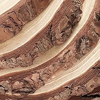 Vista 3 de PINGEUI 6 rebanadas de madera natural de 9 a 10 pulgadas, rebanadas de árbol de madera natural sin terminar con corteza, discos redondos grandes