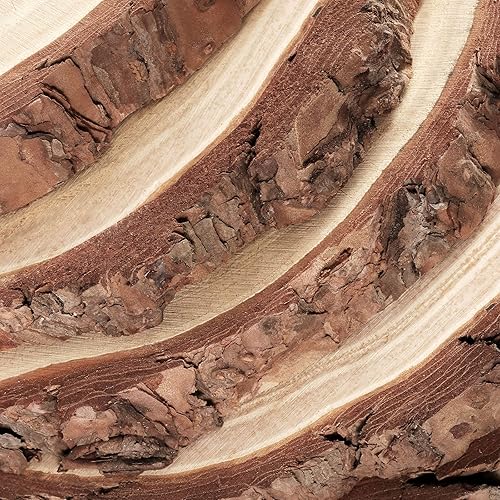 Miniatura 4 de PINGEUI 10 rebanadas de madera natural de 7 a 8 pulgadas con corteza, discos redondos grandes sin terminar para manualidades, círculos de madera