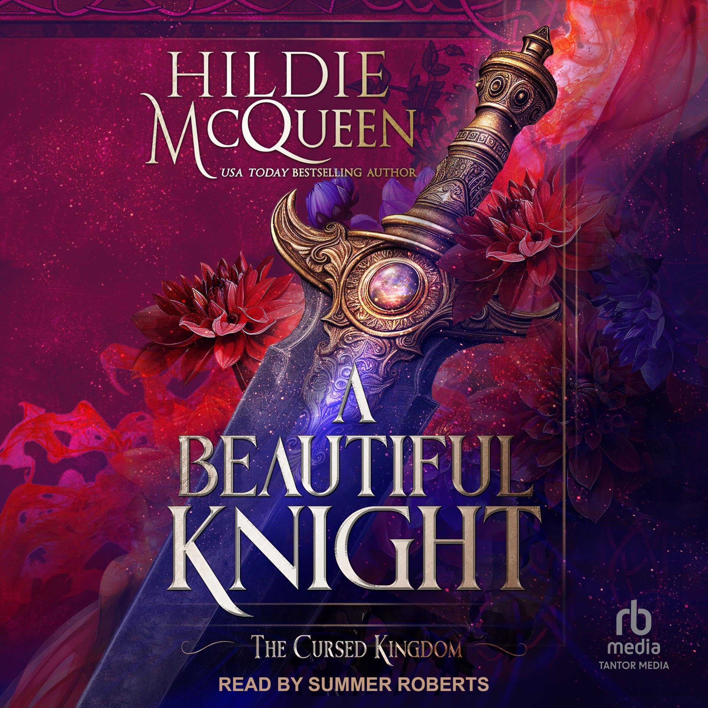 Cover art for A Beautiful Knight