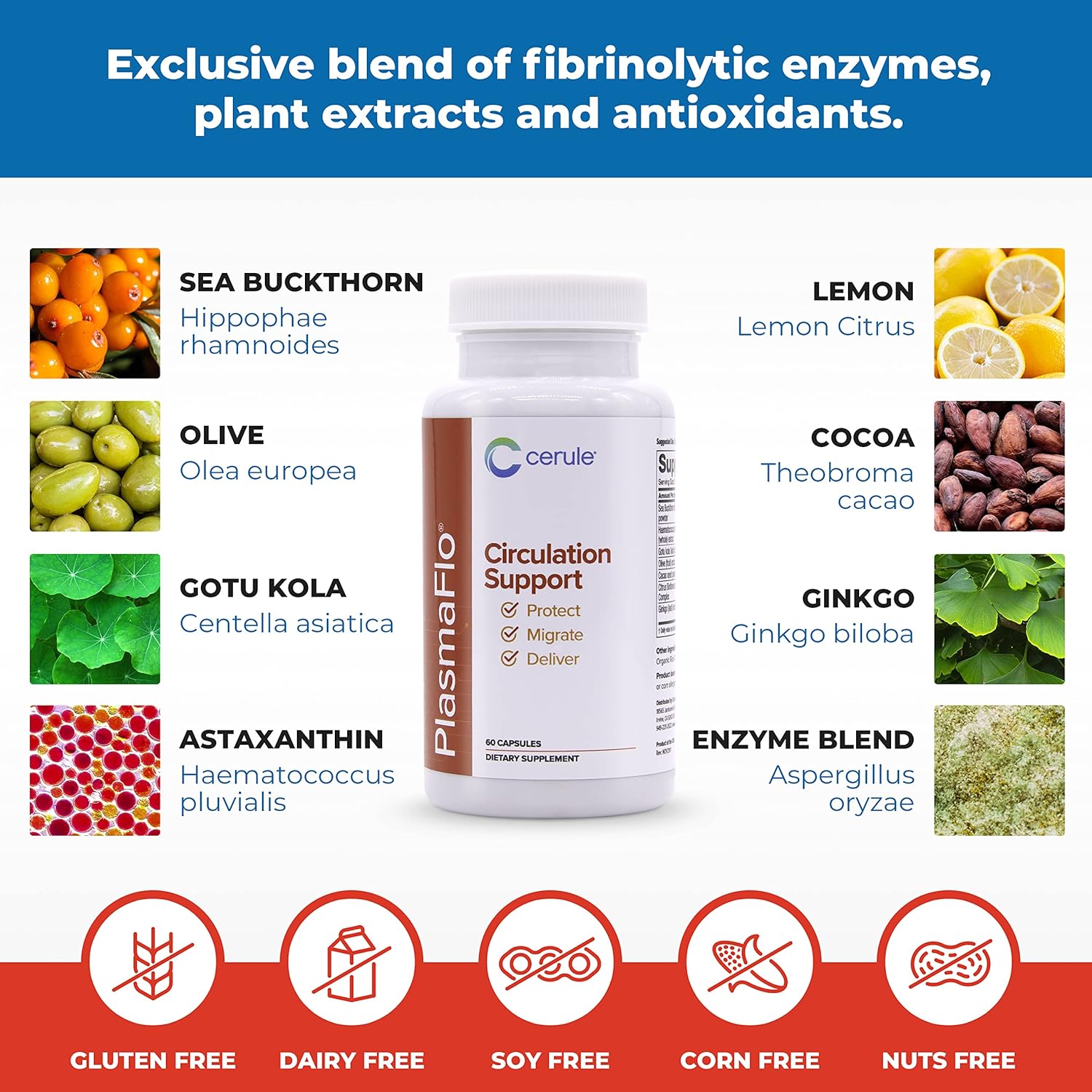 Cerule Plasmaflo Blood Flow and Circulation Support Supplement – Vascular and Heart Health Formula with Enzyme Blend, Gotu Kola, Ginkgo Biloba, Sea Buckthorn, and Antioxidants – 60 Vegetarian Capsules