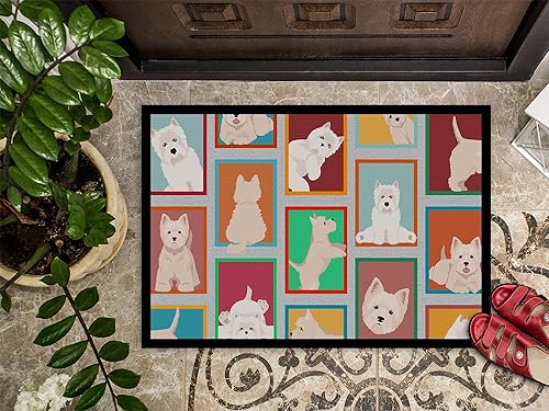 Vista 86 de Caroline's Treasures MLM1087MAT - Felpudo de perro de montaña bernés de 18 x 27 pulgadas, para interiores y exteriores, para entrada, Bernese