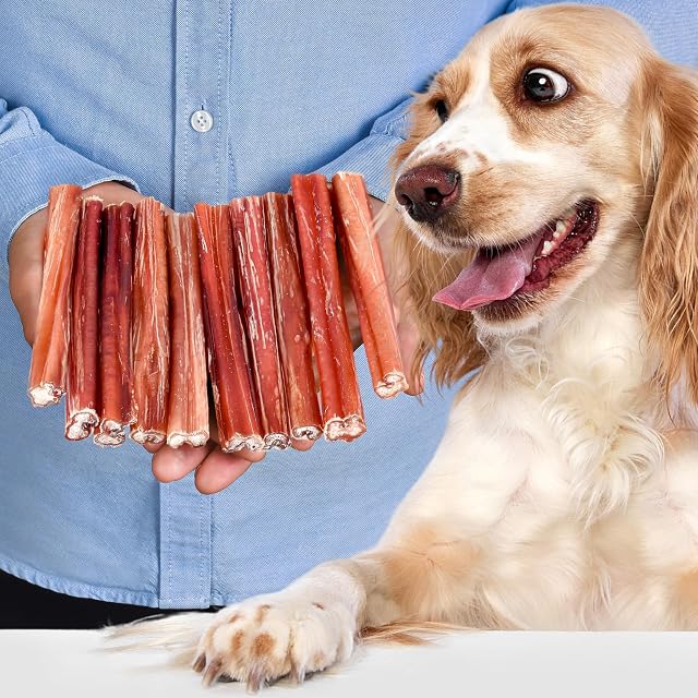 Pizzle de vacuno para perros, 12 cm, talla M, 10 unidades (300 g), sin cereales