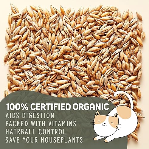 Miniatura 4 de Kit de cultivo prémium de hierba de trigo orgánico para gatos, paquete de 4  100% semillas de pasto de trigo sin OMG para gatos y seres humanos