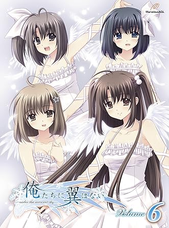 Amazon 俺たちに翼はない 第6巻 Dvd アニメ