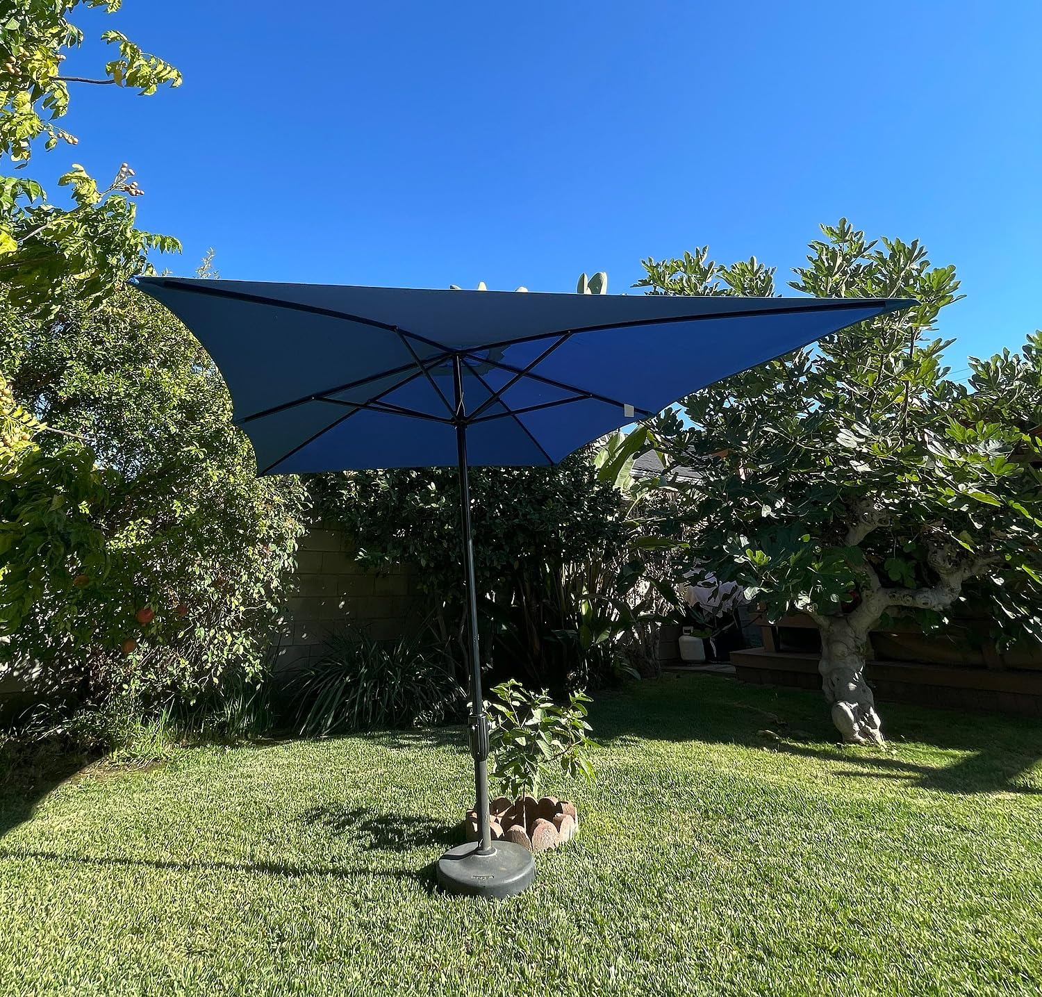 BELLRINO Rectangular Replacement Umbrella Canopy for 10ft x 6.5 ft 6 ribs Umbrella (Canopy Only)