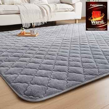 Amazon | Colorsroom ラグ カーペット 極厚25mm 冬 ふわふわ 【7層構造