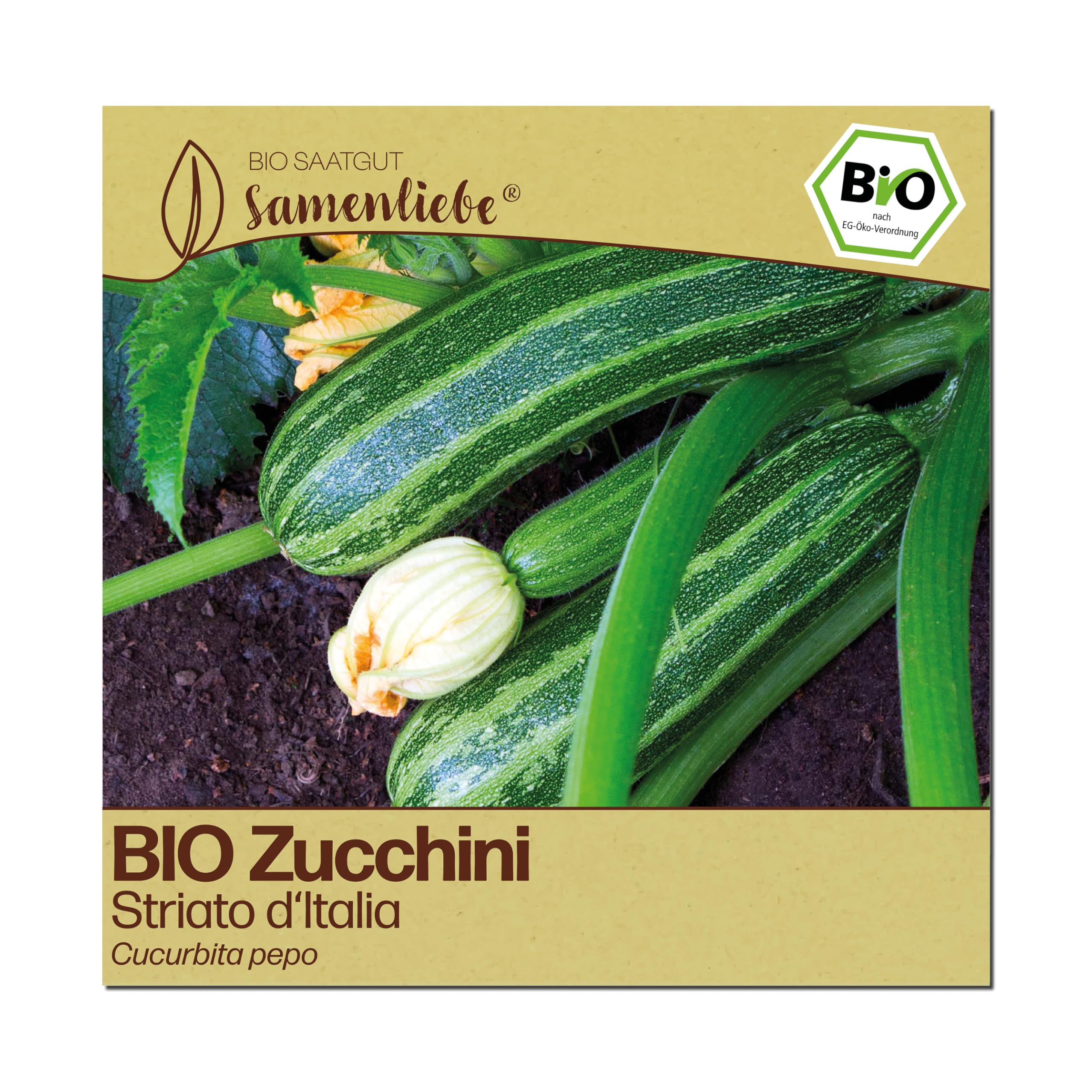 Samenliebe BIO Zucchini Samen | Striato d'Italia - italienische Zucchini & gestreift - samenfestes BIO Saatgut