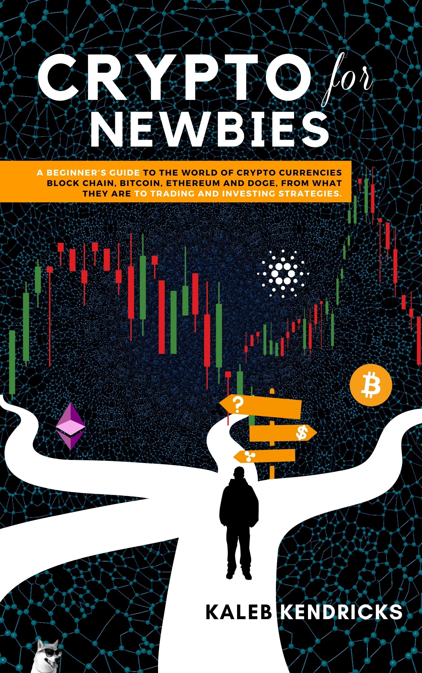 Crypto For Newbies A Beginner S Guide To The World | Desertcart Seychelles