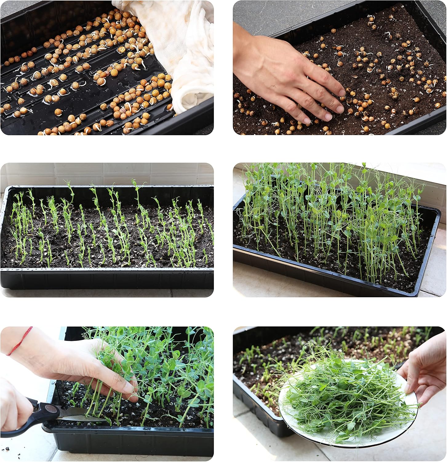 Mr. Pen- Seed Starter Trays, 5 Pack, 17"x10"x2.4", Durable Plastic Growing Trays, Stackable and Reusable Seedling Starter Kits for Indoor, Outdoor, Greenhouse Gardening, Planting, Hydroponic Systems