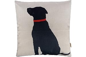 Modern Black Lab Decor Throw Pillow Case