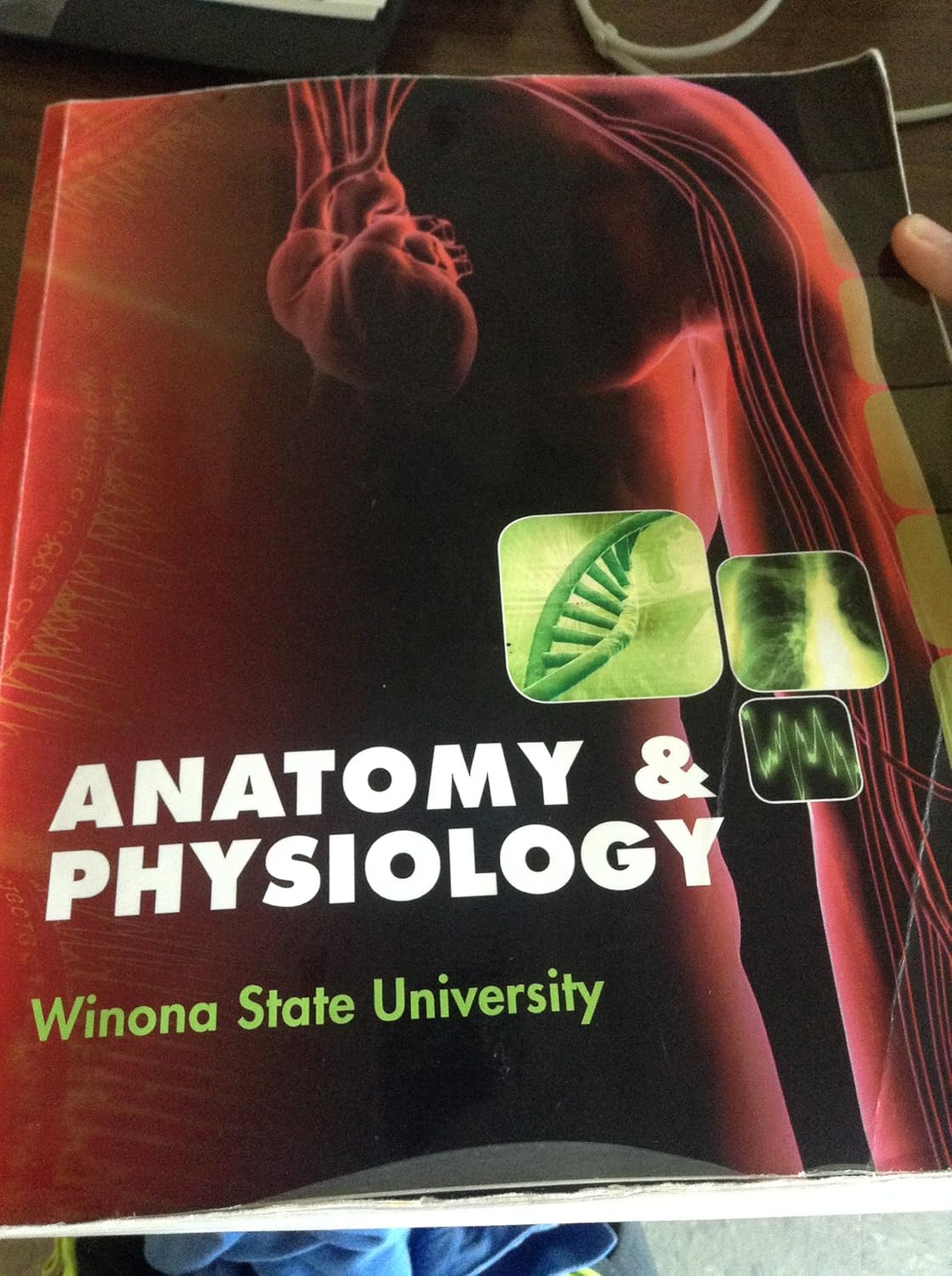 Humanor not? visual data 5