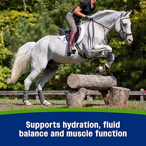 Miniatura 4 de Farnam Suplemento de electrolitos Apple Elite para caballos, reemplaza minerales vitales, fomenta la hidratación, sin azúcar añadida, 7.5 libras,