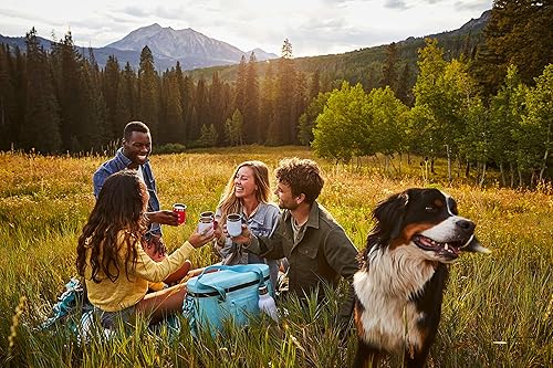 Miniatura 6 de Hydro Flask Vaso de vino de acero inoxidable de doble pared aislado al vacío de 10 onzas con tapa a presión, Pacific