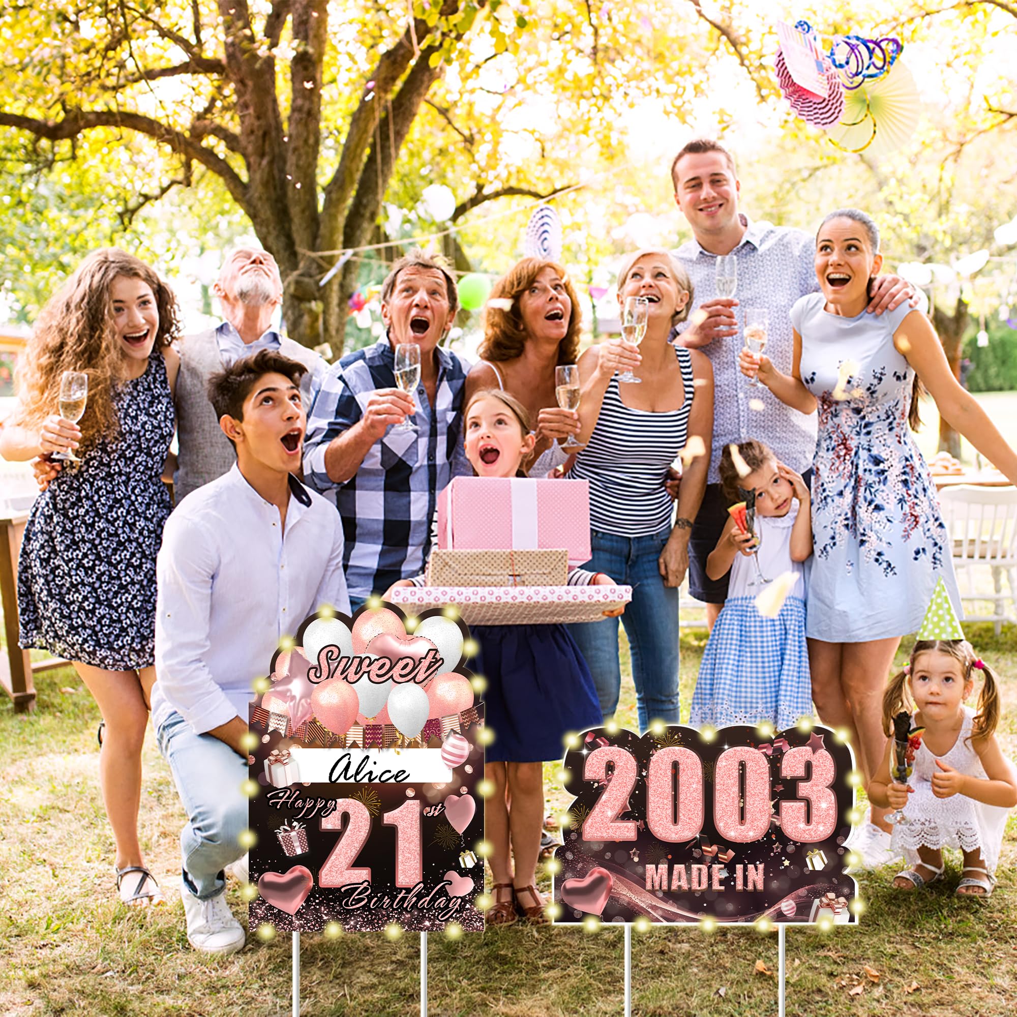 Gartenschild Zum 21. Geburtstag – 7-teiliges Set, Schwarz-gold, Mit Heringen, Für Rasen & Hof-Dekoration
