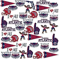 Vista 30 de Texas TECH University - Paquete variado de 50 calcomanías de vinilo grandes de lujo para laptop, botella de agua, álbumes de recortes, tableta