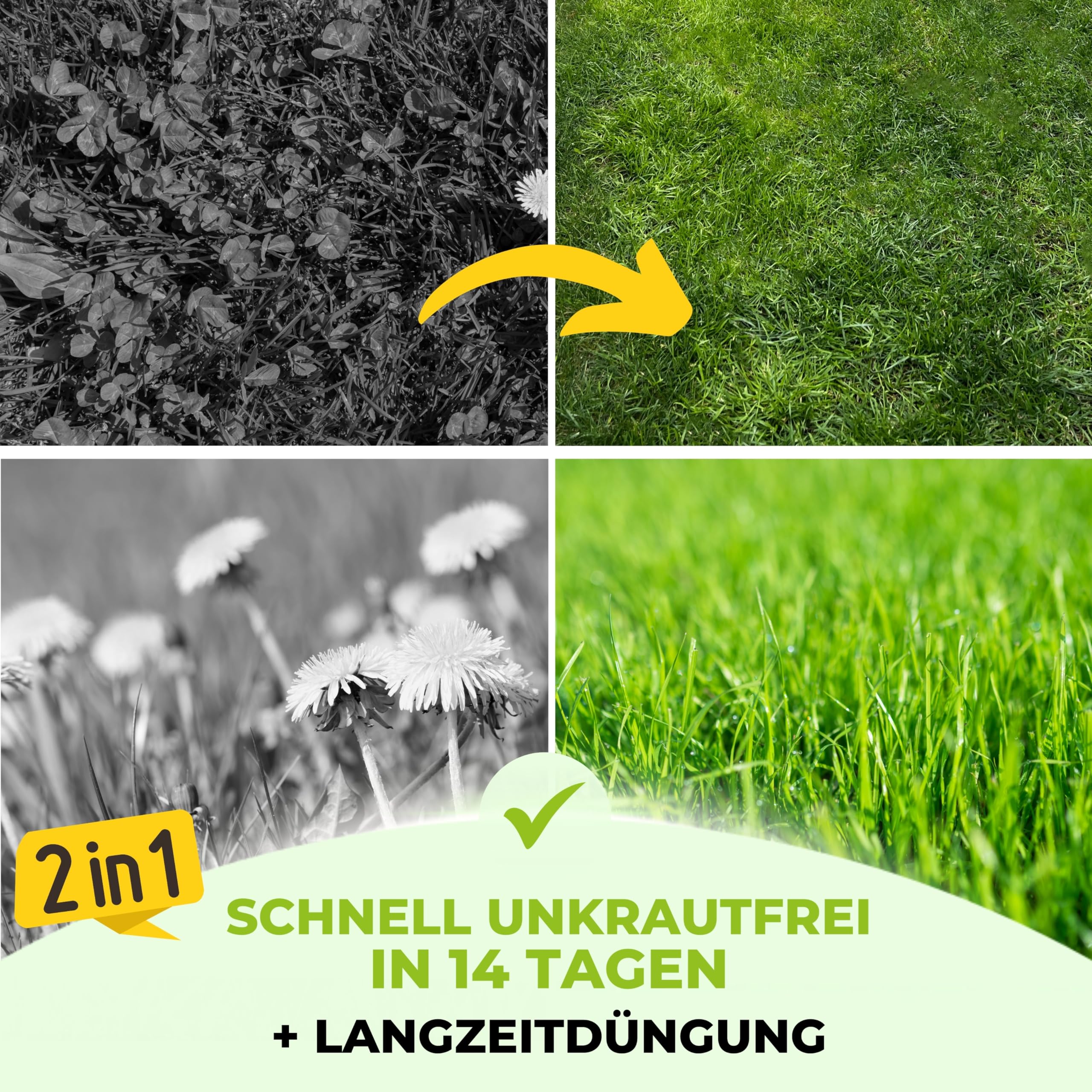 TerraUno Rasendünger mit Unkrautvernichter extra stark, 100 Tage Langzeitwirkung, 5 kg für 250 m², gegen Löwenzahn, Klee uvm., Rasenunkrautvernichter mit Dünger für saftiges Grün im Frühjahr & Sommer