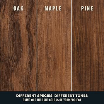 Varathane Premium Fast Dry Dark Walnut Wood Stain Spray