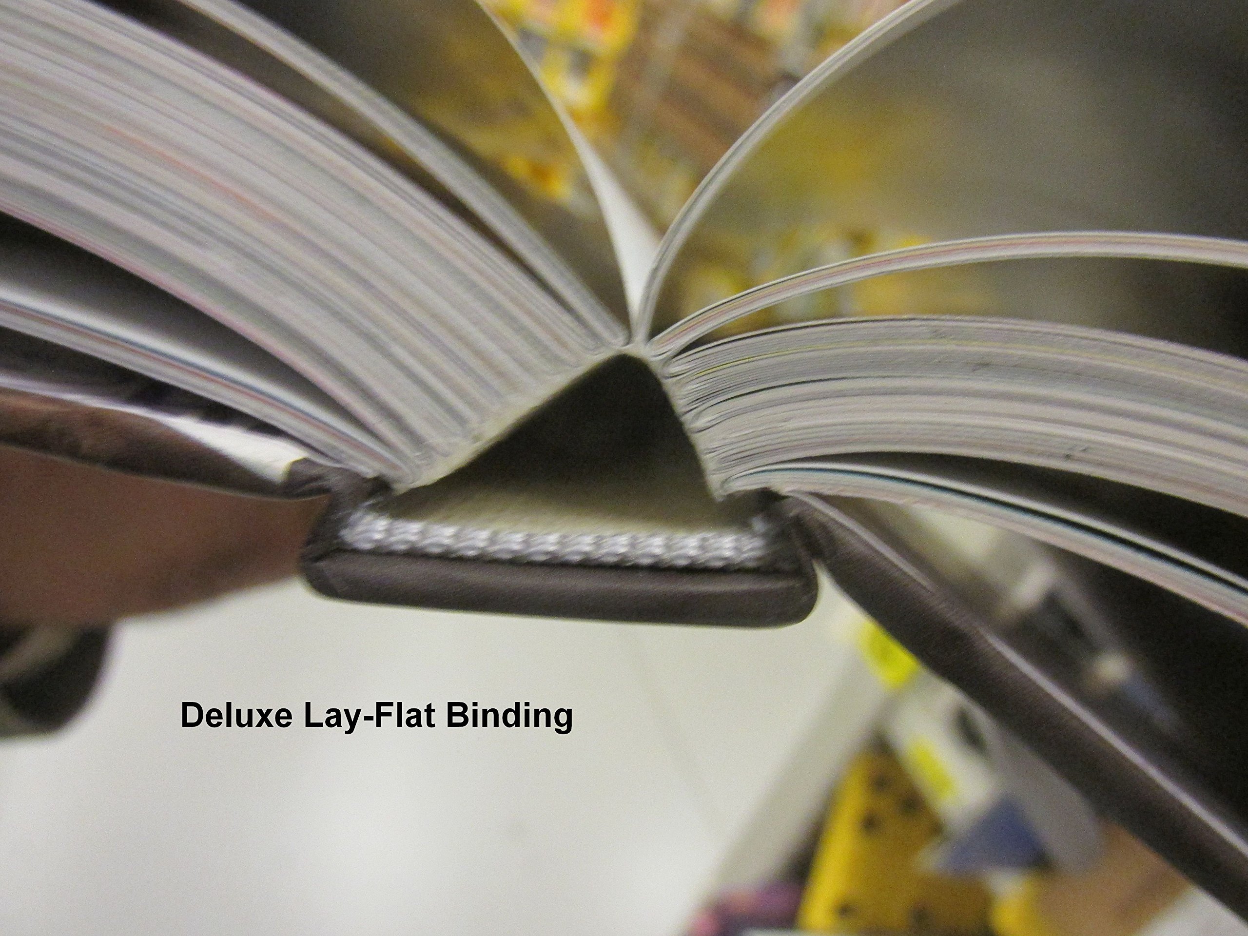 Hi-Fructose Collected Edition Volume 3: New Contemporary Art Owens, Annie and Attaboy, Attaboy - PT01