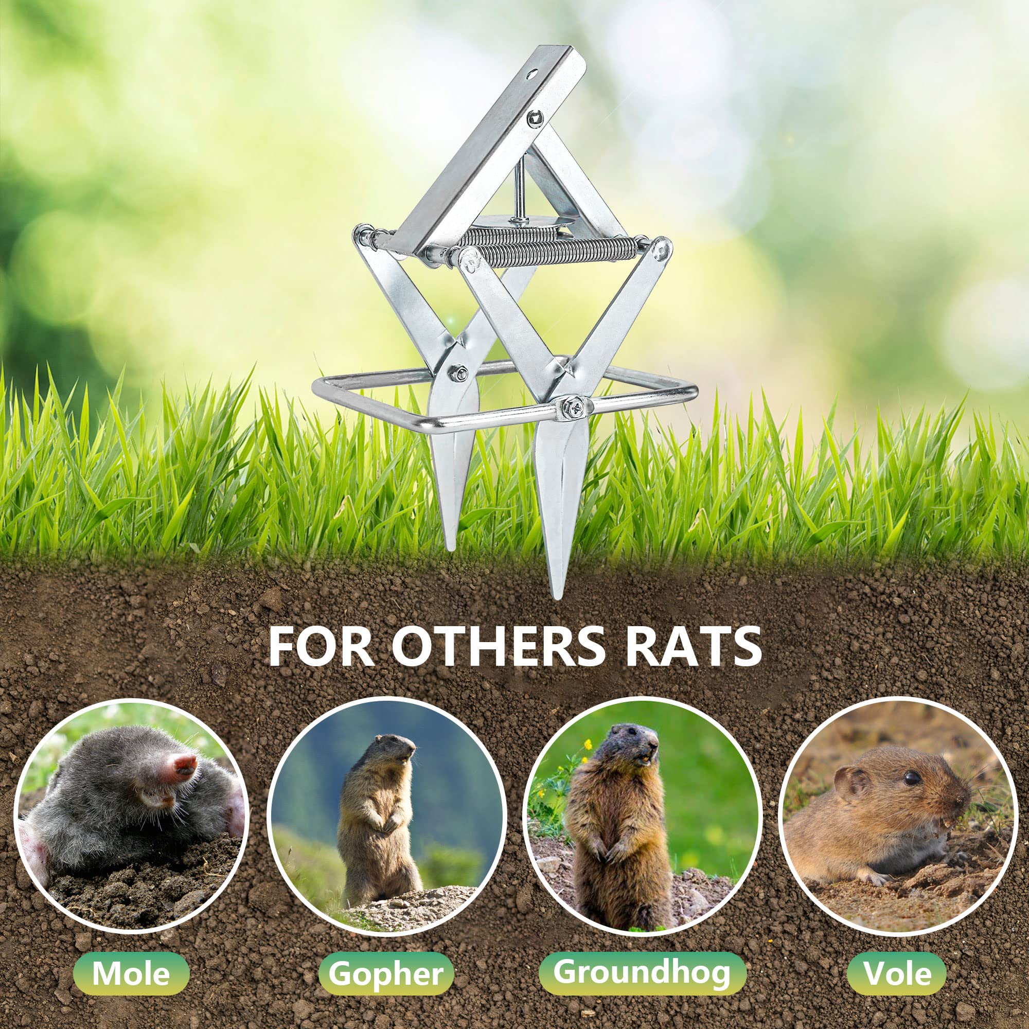 YardYield Mole Trap Easy Set Gopher Trap Galvanized Steel Plunger Mole Trap Reusable Scissor Trap(one)
