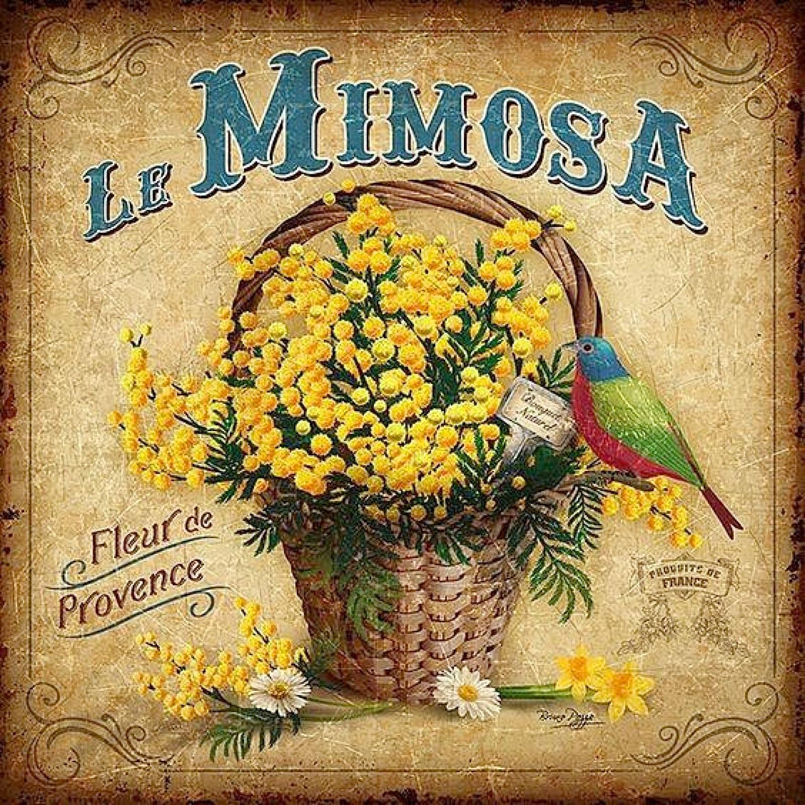 Metal Plaque The Mimosa Bar Home Kitchen Garden Farm Wall Decoration Gift
